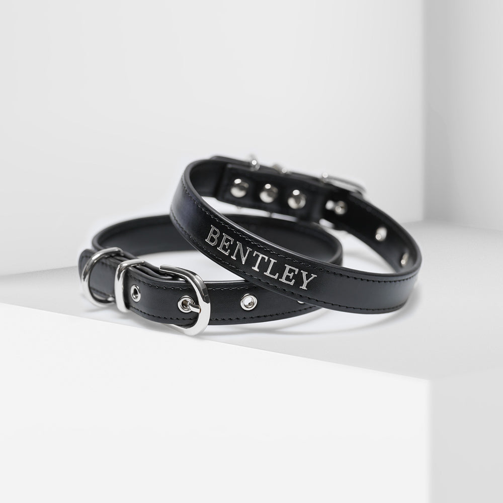 Luxe Black - Premium Personalised Pet Collar (Silver)