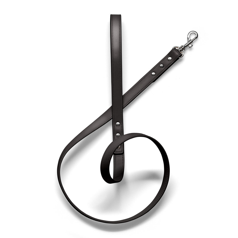 Luxe Black - Premium Pet Lead (Silver)