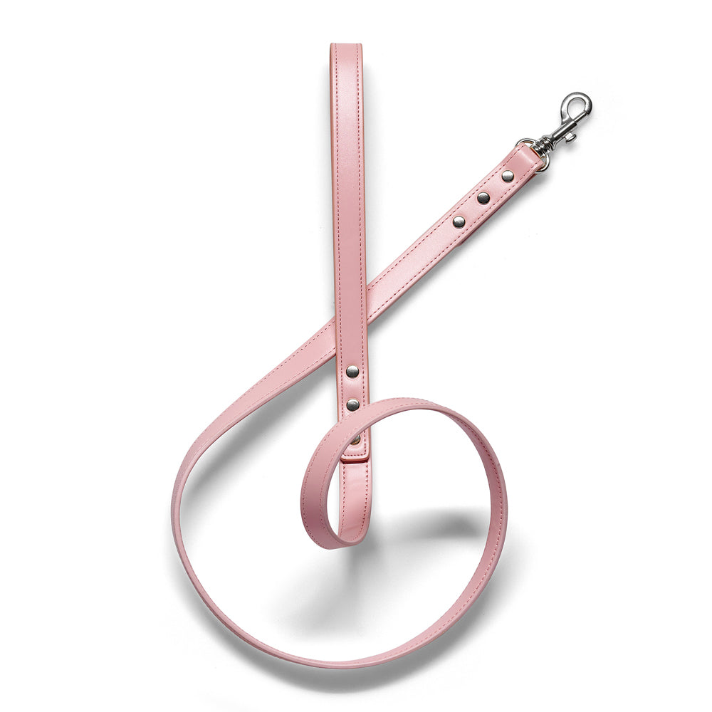 Luxe Light Pink - Premium Pet Lead (Silver)
