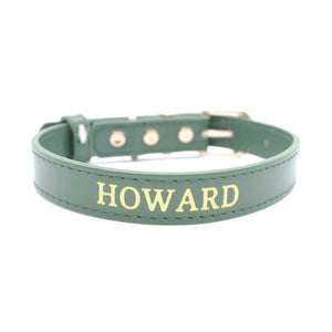 Green - Personalised Pet Collar (Gold)