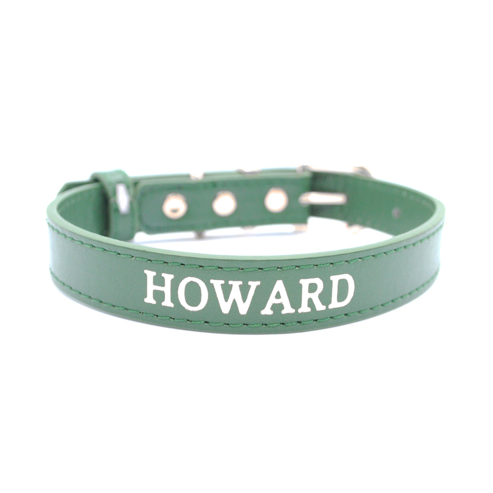 Green - Personalised Pet Collar (Silver)