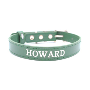 Green - Personalised Pet Collar (Silver)
