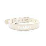 Beige - Personalised Pet Collar (Silver)