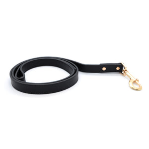Black - Pet Lead (Gold)