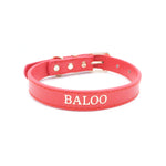 Red - Personalised Pet Collar (Silver)
