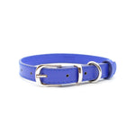 Blue - Personalised Pet Collar (Silver)