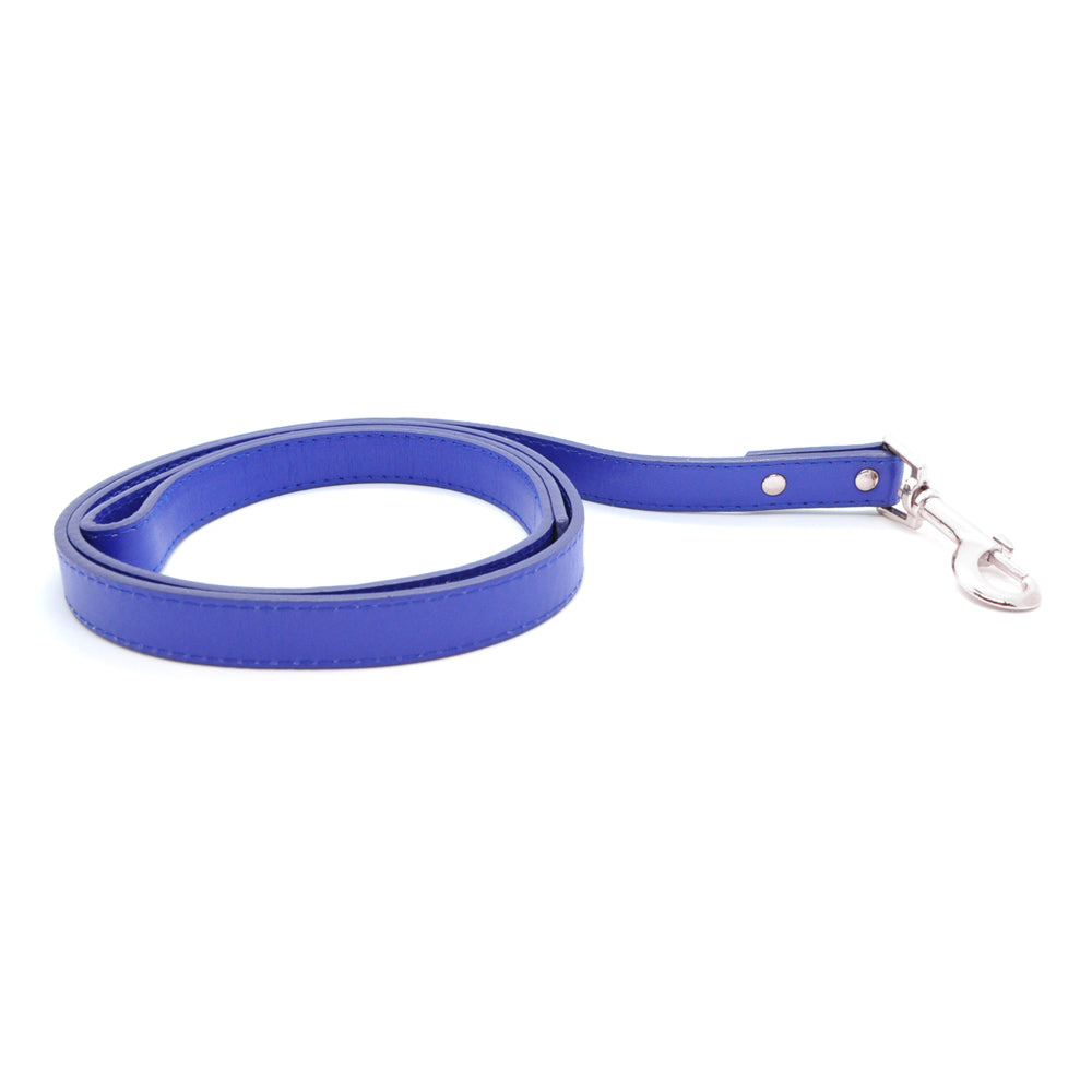 Blue - Pet Lead (Silver)