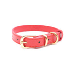 Red - Personalised Pet Collar (Gold)