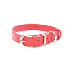 Red - Personalised Pet Collar (Silver)