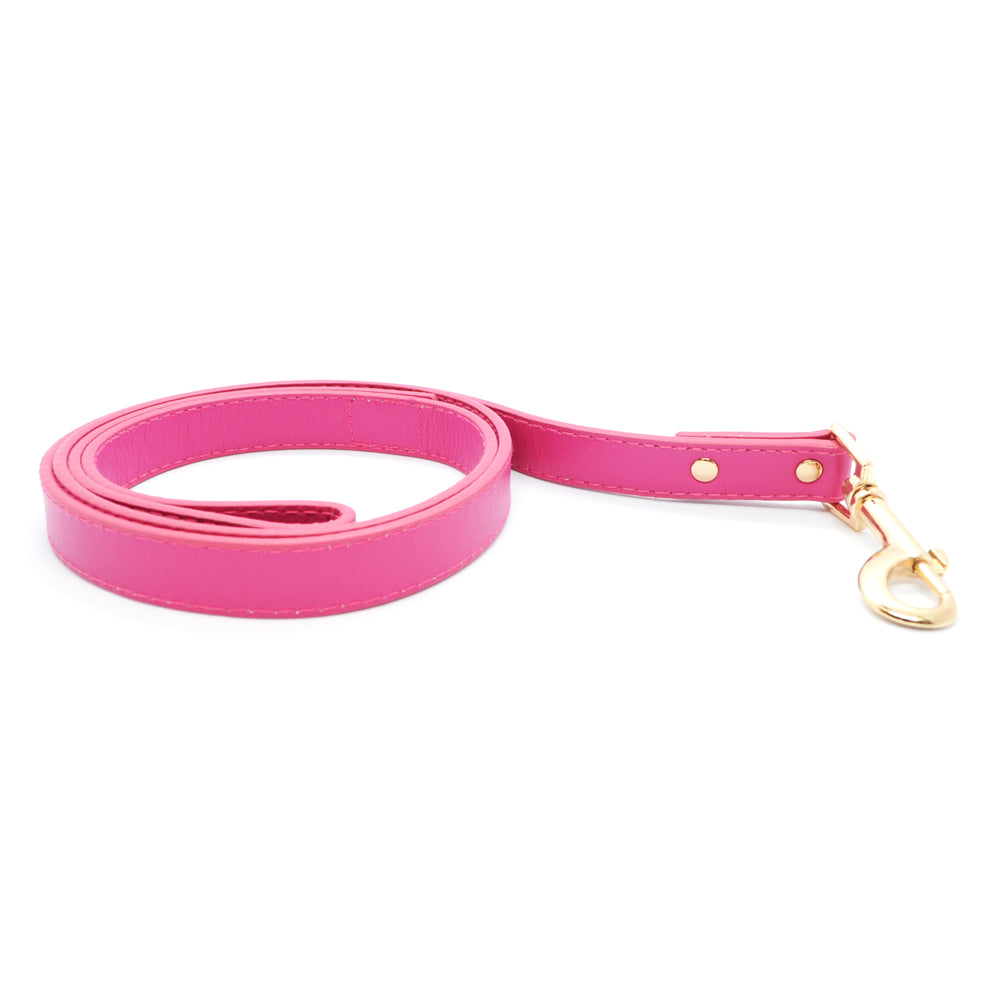 Pink - Premium Pet Lead (Gold)