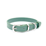 Green - Personalised Pet Collar (Silver)