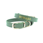 Green - Personalised Pet Collar (Gold)