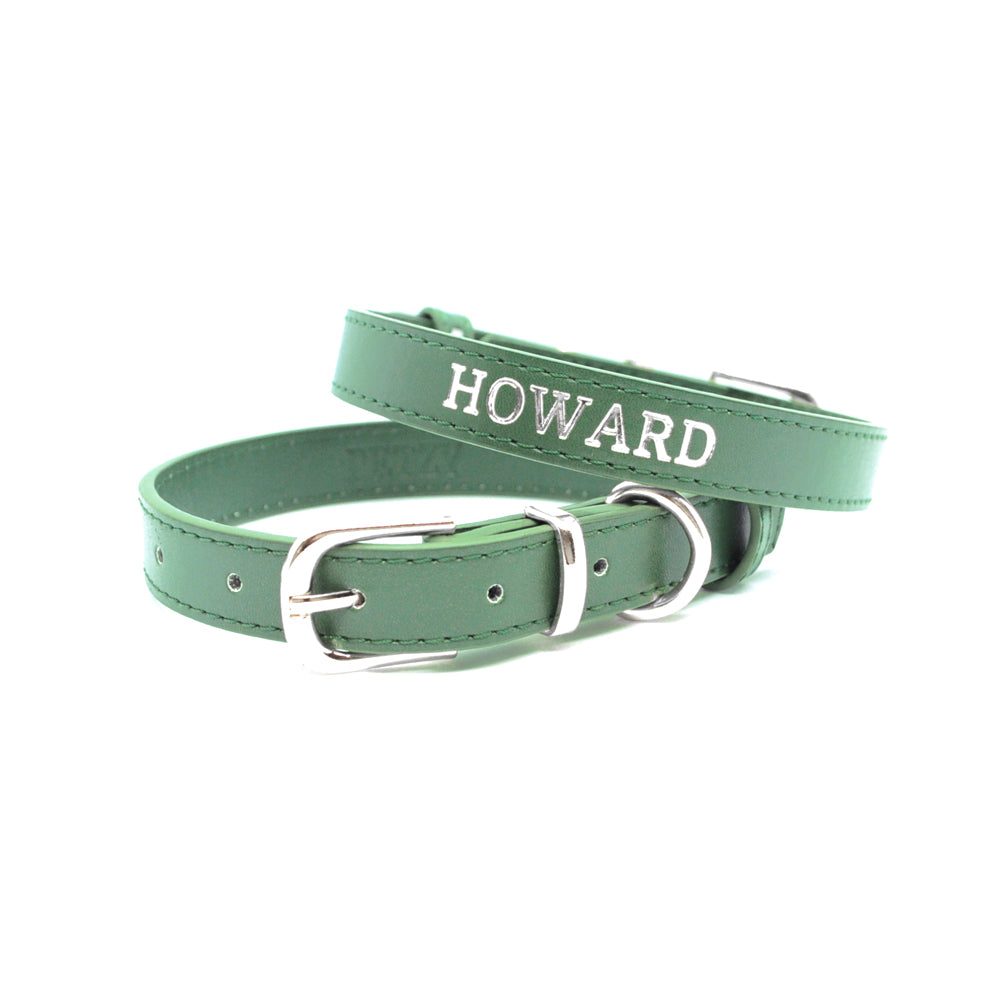 Green - Personalised Pet Collar (Silver)