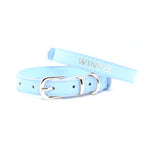 Light Blue - Personalised Pet Collar (Silver)