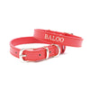 Red - Personalised Pet Collar (Silver)