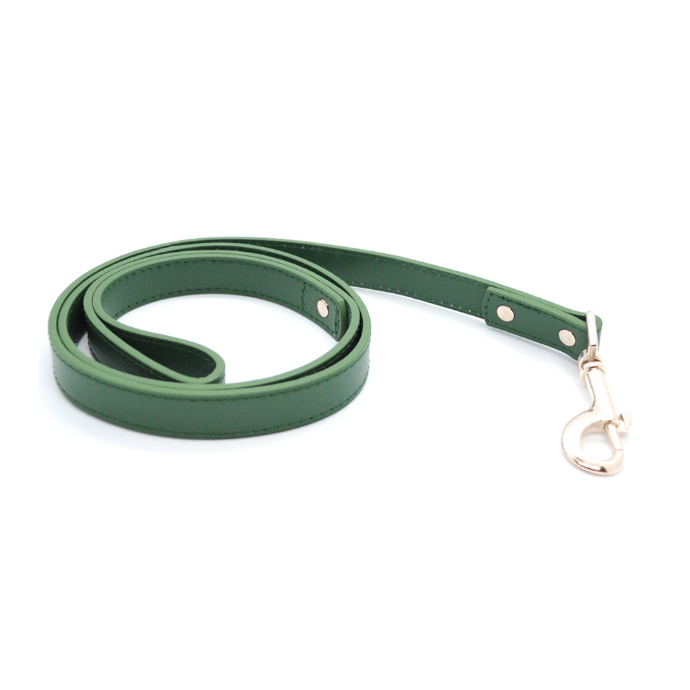 Green - Pet Lead (Silver)